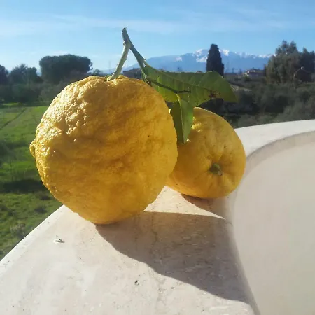 Apartament Il Leone Rosso Over The Hills Of The Trabocchi