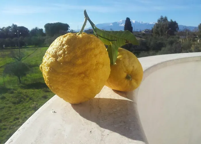 Apartment Il Leone Rosso Over The Hills Of The Trabocchi